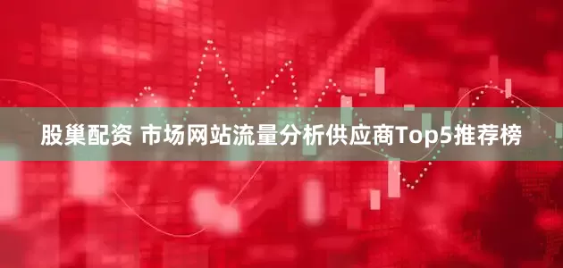 股巢配资 市场网站流量分析供应商Top5推荐榜